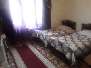 Мотели Hotel Noy Горис Двухместный номер Делюкс с 2 отдельными кроватями-2